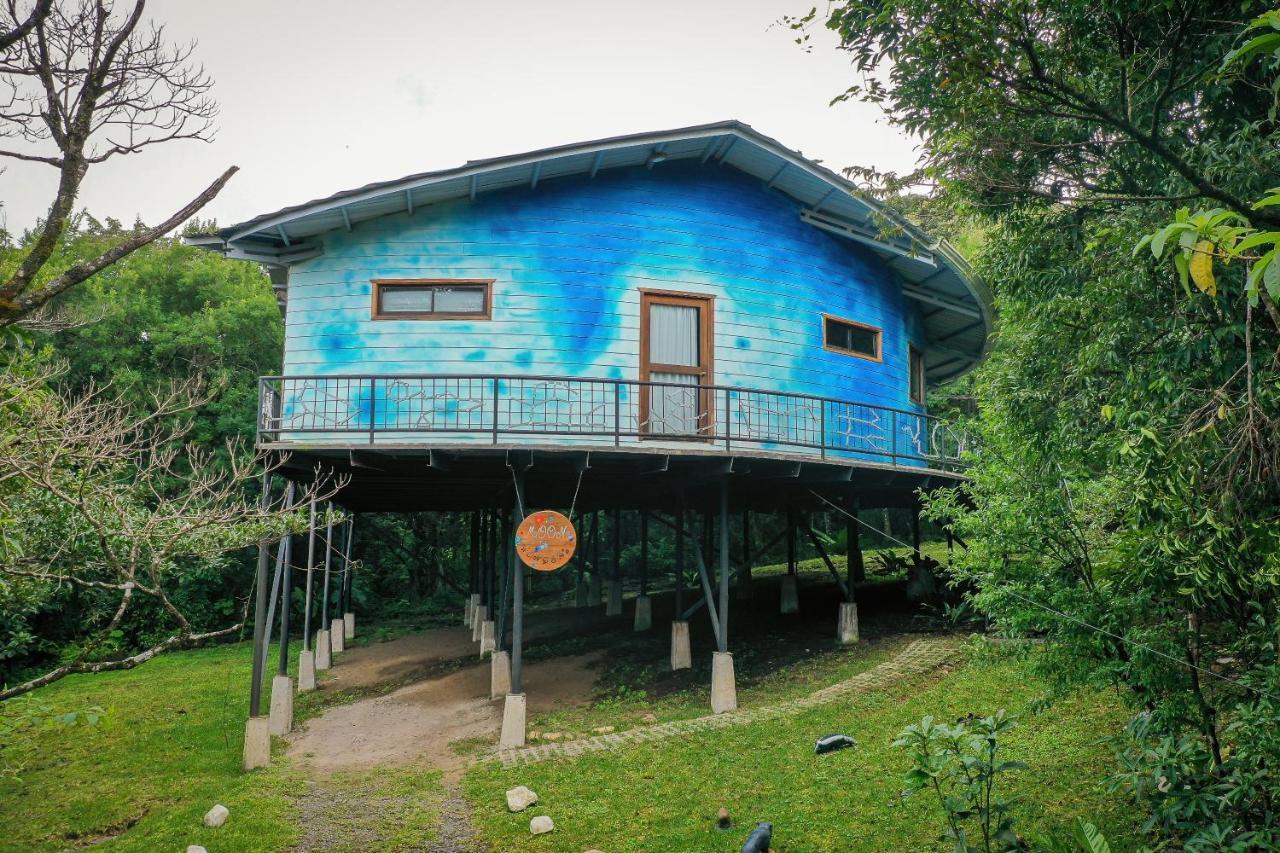 Moon Wonders Vacation House Monteverde Bagian luar foto